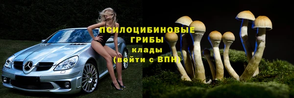 2c-b Белоозёрский