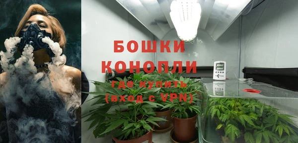 прущая мука Белокуриха