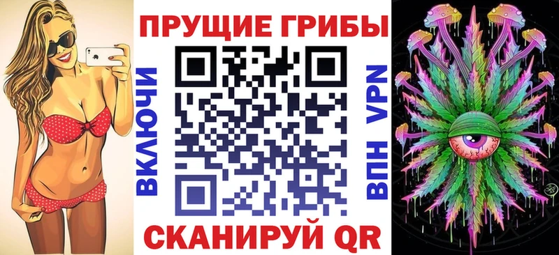 Галлюциногенные грибы Psilocybe  продажа наркотиков  Соль-Илецк 